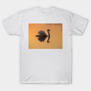 Swan Reflection T-Shirt